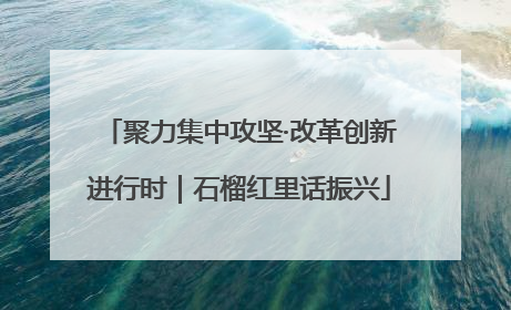 聚力集中攻坚·改革创新进行时｜石榴红里话振兴