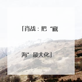 肖战：把“藏海”最大化