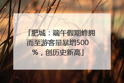 肥城：端午假期蜂拥而至游客量暴增500%，创历史新高