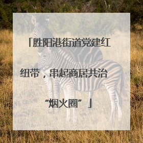 胜阳港街道党建红纽带，串起商居共治 “烟火圈”