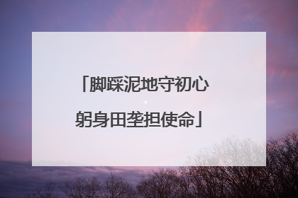 脚踩泥地守初心 躬身田垄担使命