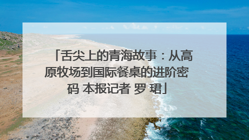 舌尖上的青海故事：从高原牧场到国际餐桌的进阶密码 本报记者 罗 珺