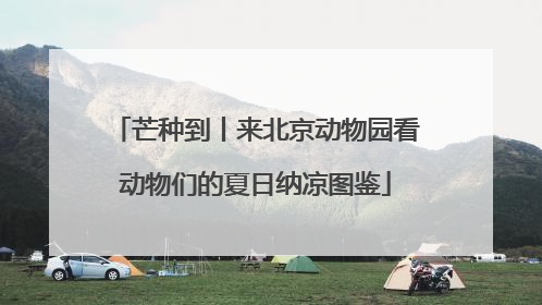 芒种到丨来北京动物园看动物们的夏日纳凉图鉴