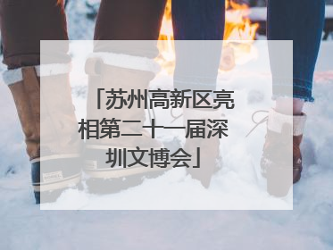 苏州高新区亮相第二十一届深圳文博会