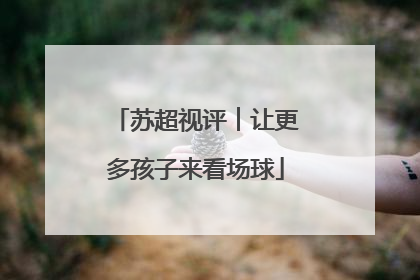 苏超视评︱让更多孩子来看场球