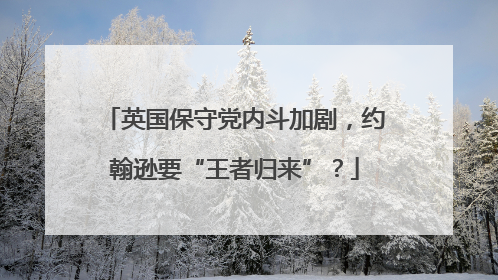 英国保守党内斗加剧，约翰逊要“王者归来”？