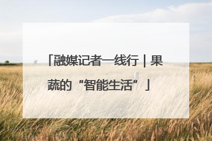 融媒记者一线行｜果蔬的“智能生活”