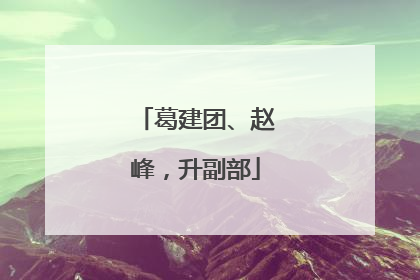 葛建团、赵峰，升副部