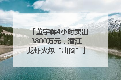 董宇辉4小时卖出3800万元，潜江龙虾火爆“出圈”