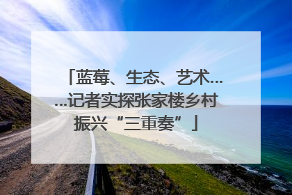 蓝莓、生态、艺术……记者实探张家楼乡村振兴“三重奏”