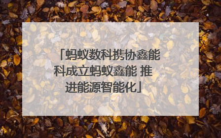 蚂蚁数科携协鑫能科成立蚂蚁鑫能 推进能源智能化