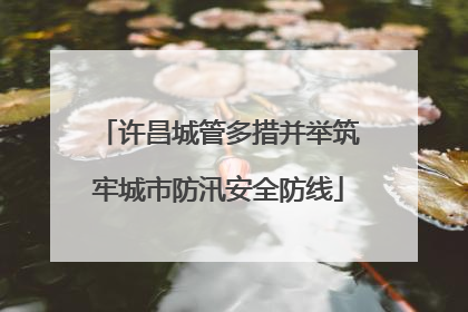 许昌城管多措并举筑牢城市防汛安全防线