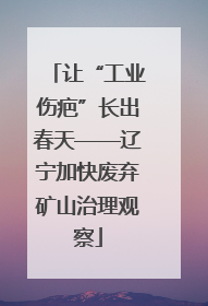 让“工业伤疤”长出春天——辽宁加快废弃矿山治理观察