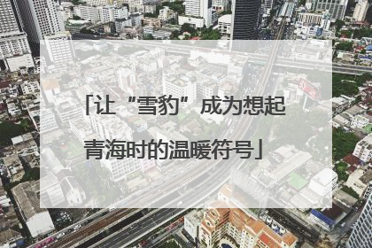 让“雪豹”成为想起青海时的温暖符号