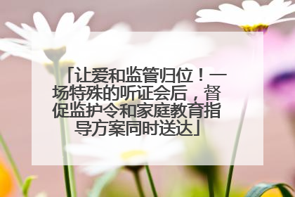 让爱和监管归位！一场特殊的听证会后，督促监护令和家庭教育指导方案同时送达