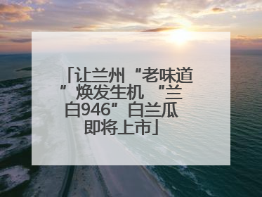 让兰州“老味道”焕发生机 “兰白946”白兰瓜即将上市