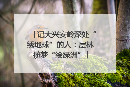 记大兴安岭深处“绣地球”的人：层林揽梦“绘绿洲”