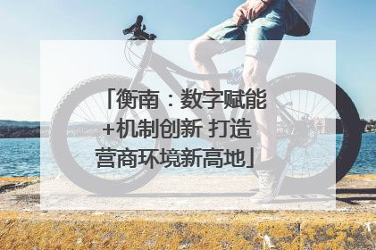 衡南：数字赋能+机制创新 打造营商环境新高地