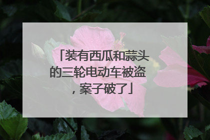 装有西瓜和蒜头的三轮电动车被盗，案子破了