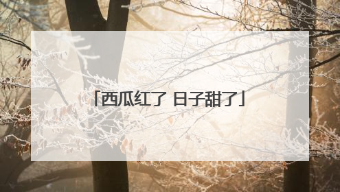 西瓜红了 日子甜了