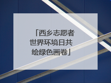 西乡志愿者世界环境日共绘绿色画卷