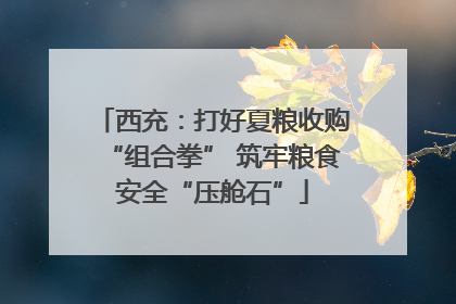 西充：打好夏粮收购“组合拳” 筑牢粮食安全“压舱石”
