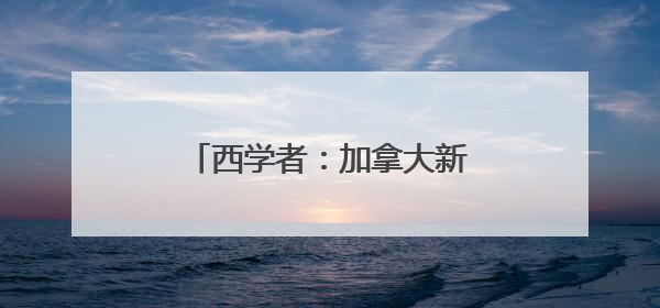 西学者：加拿大新政带给欧洲的启示