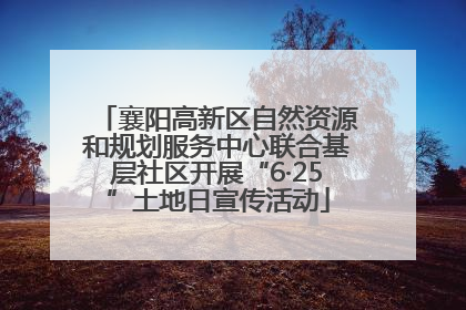 襄阳高新区自然资源和规划服务中心联合基层社区开展“6·25”土地日宣传活动
