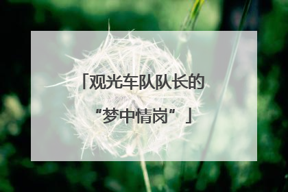 观光车队队长的“梦中情岗”