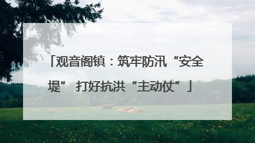 观音阁镇：筑牢防汛“安全堤” 打好抗洪“主动仗”