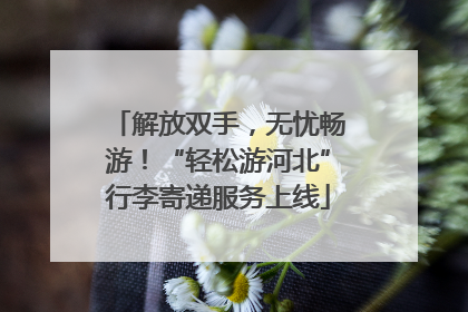 解放双手，无忧畅游！“轻松游河北”行李寄递服务上线