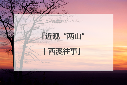 近观“两山”丨西溪往事