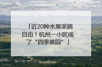 近20种水果采摘自由！杭州一小区成了“四季果园”