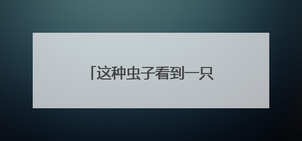 这种虫子看到一只家里很可能有一万只，除虫攻略→