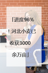 进度96%！河北小麦已收获3000余万亩