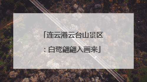 连云港云台山景区：白鹭翩翩入画来
