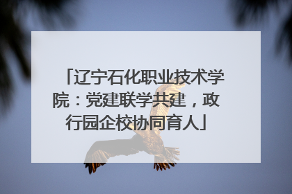 辽宁石化职业技术学院：党建联学共建，政行园企校协同育人