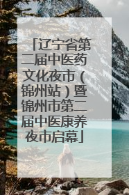 辽宁省第二届中医药文化夜市（锦州站）暨锦州市第二届中医康养夜市启幕