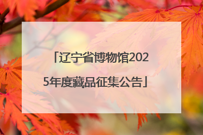 辽宁省博物馆2025年度藏品征集公告