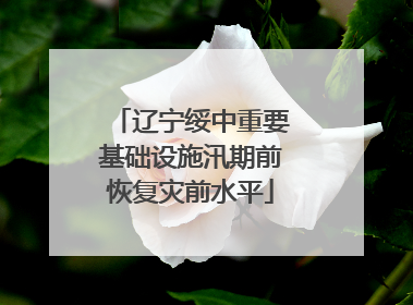 辽宁绥中重要基础设施汛期前恢复灾前水平