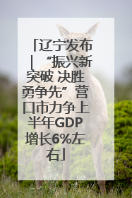 辽宁发布｜“振兴新突破 决胜勇争先”营口市力争上半年GDP增长6%左右