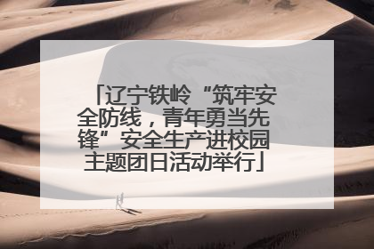 辽宁铁岭“筑牢安全防线，青年勇当先锋”安全生产进校园主题团日活动举行
