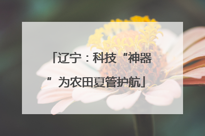 辽宁：科技“神器”为农田夏管护航