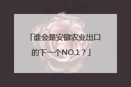 谁会是安徽农业出口的下一个NO.1？
