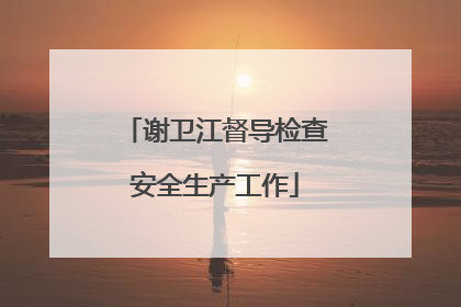 谢卫江督导检查安全生产工作
