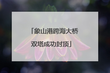 象山港跨海大桥双塔成功封顶