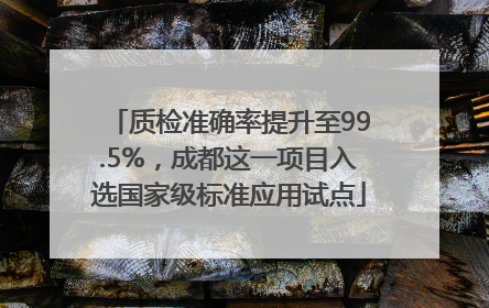 质检准确率提升至99.5%，成都这一项目入选国家级标准应用试点