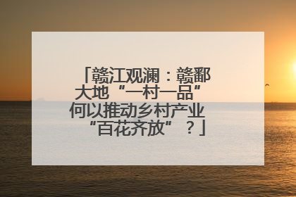 赣江观澜：赣鄱大地“一村一品”何以推动乡村产业“百花齐放”？