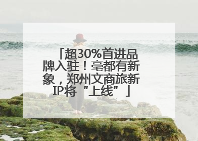 超30%首进品牌入驻！亳都有新象，郑州文商旅新IP将“上线”