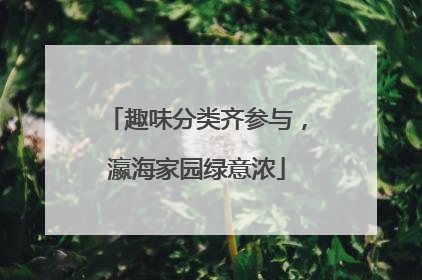 趣味分类齐参与，瀛海家园绿意浓